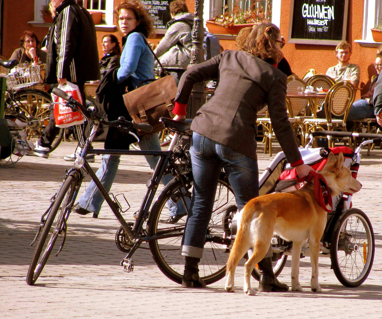 Radfahrerin mit Hund