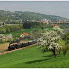 „RADFRÜHLING IM TRAISENTAL“