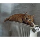 ... radiator ist warm im winter