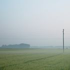 radical shadow fogging in the pfalz (altrip)