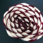 Radicchio