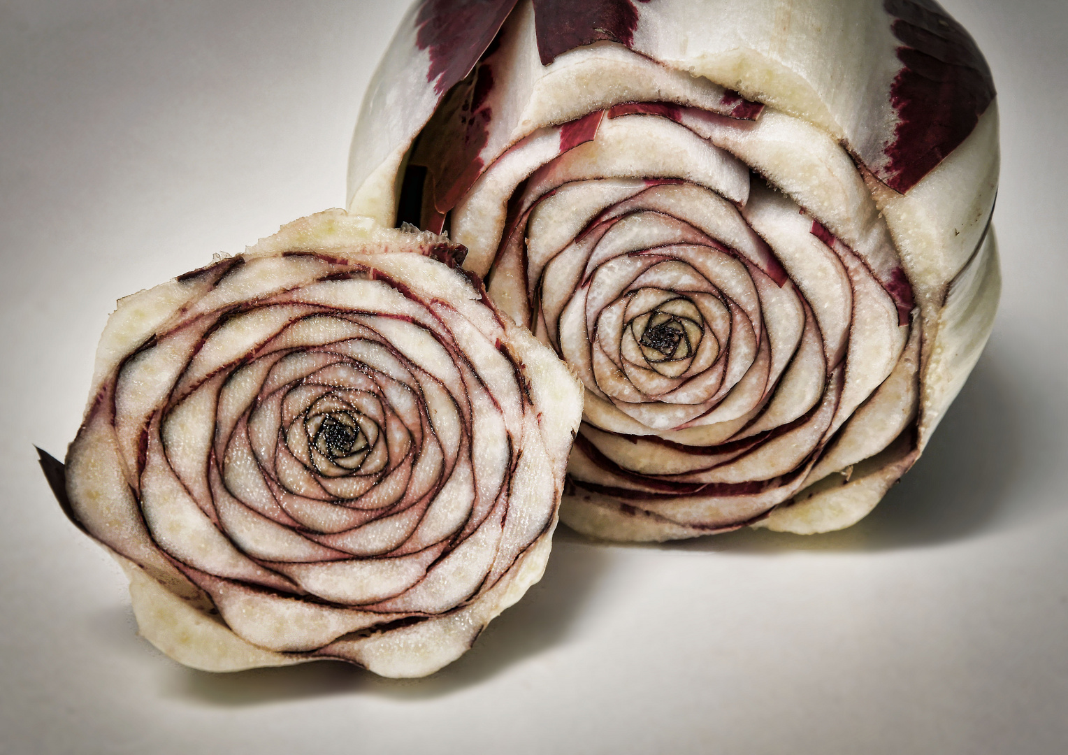 Radicchio di Treviso