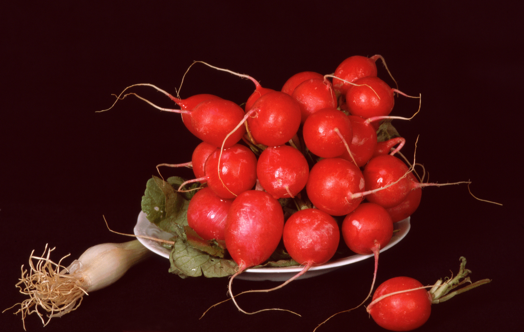  Radieschen mit Lauchzwiebel