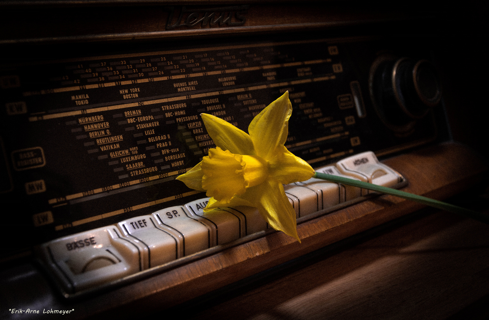 Radio mit Blume 