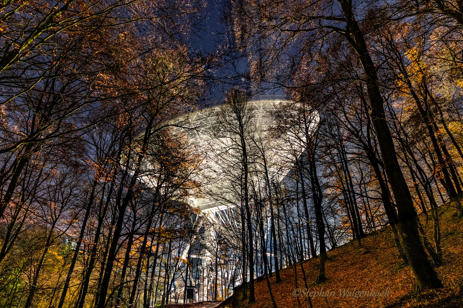 Radioteleskop Effelsberg im Zauberwald