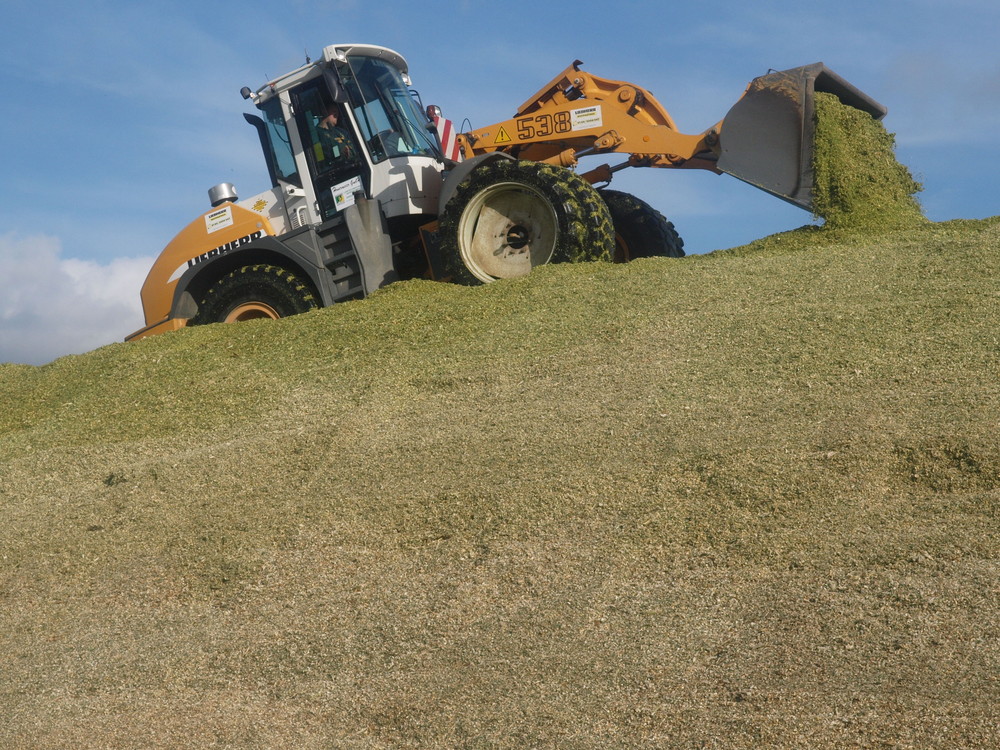 Radlader Liebherr 538 als Gipfelstürmer ...