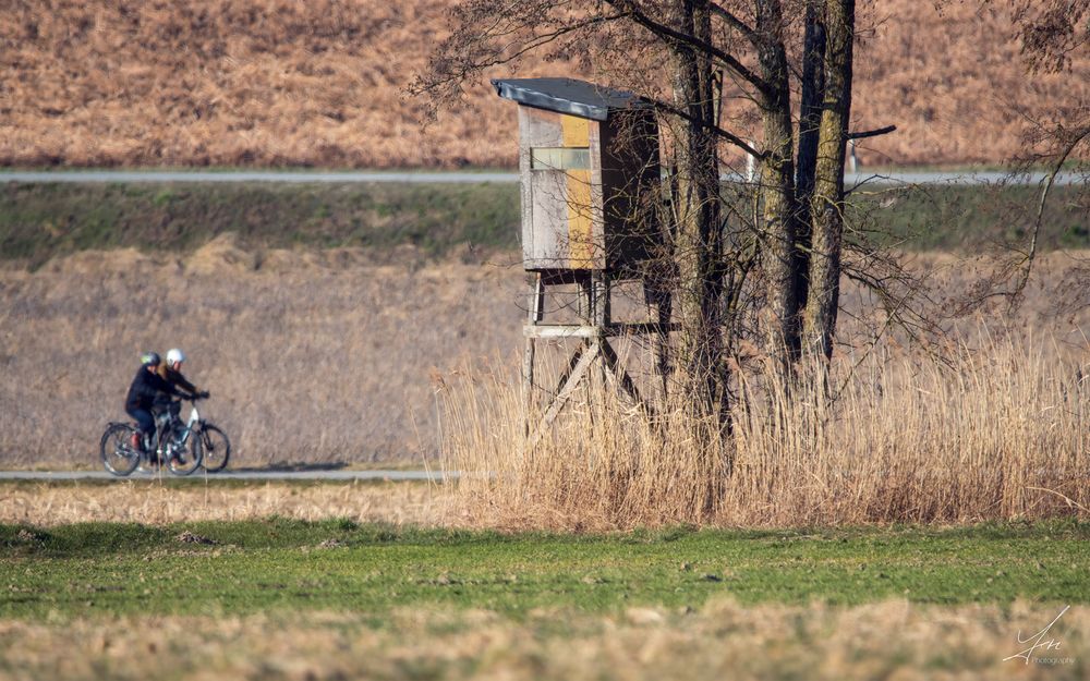 Radler entlang der Donau bei Winzer