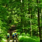 Radler-Trio im Pfingstwald