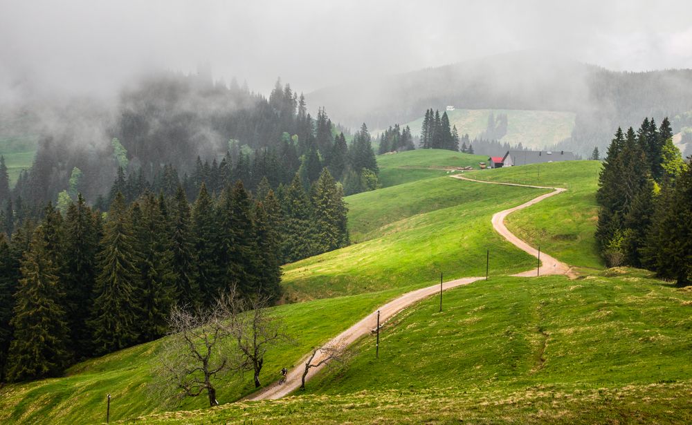 Radlerfreuden im Allgäu