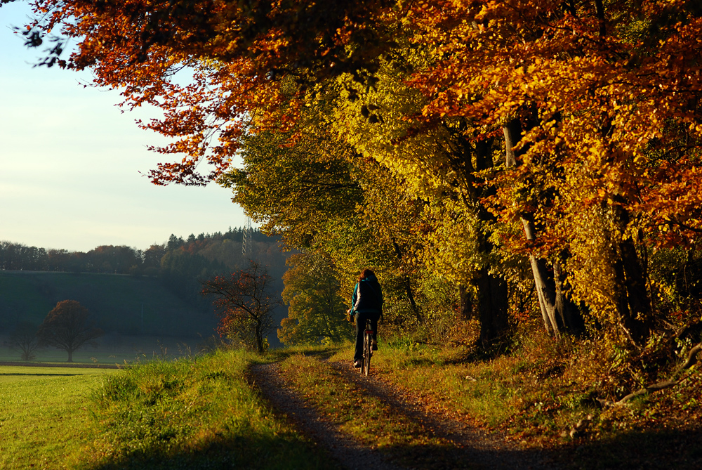 Radlerin am Waldrand