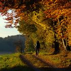 Radlerin am Waldrand