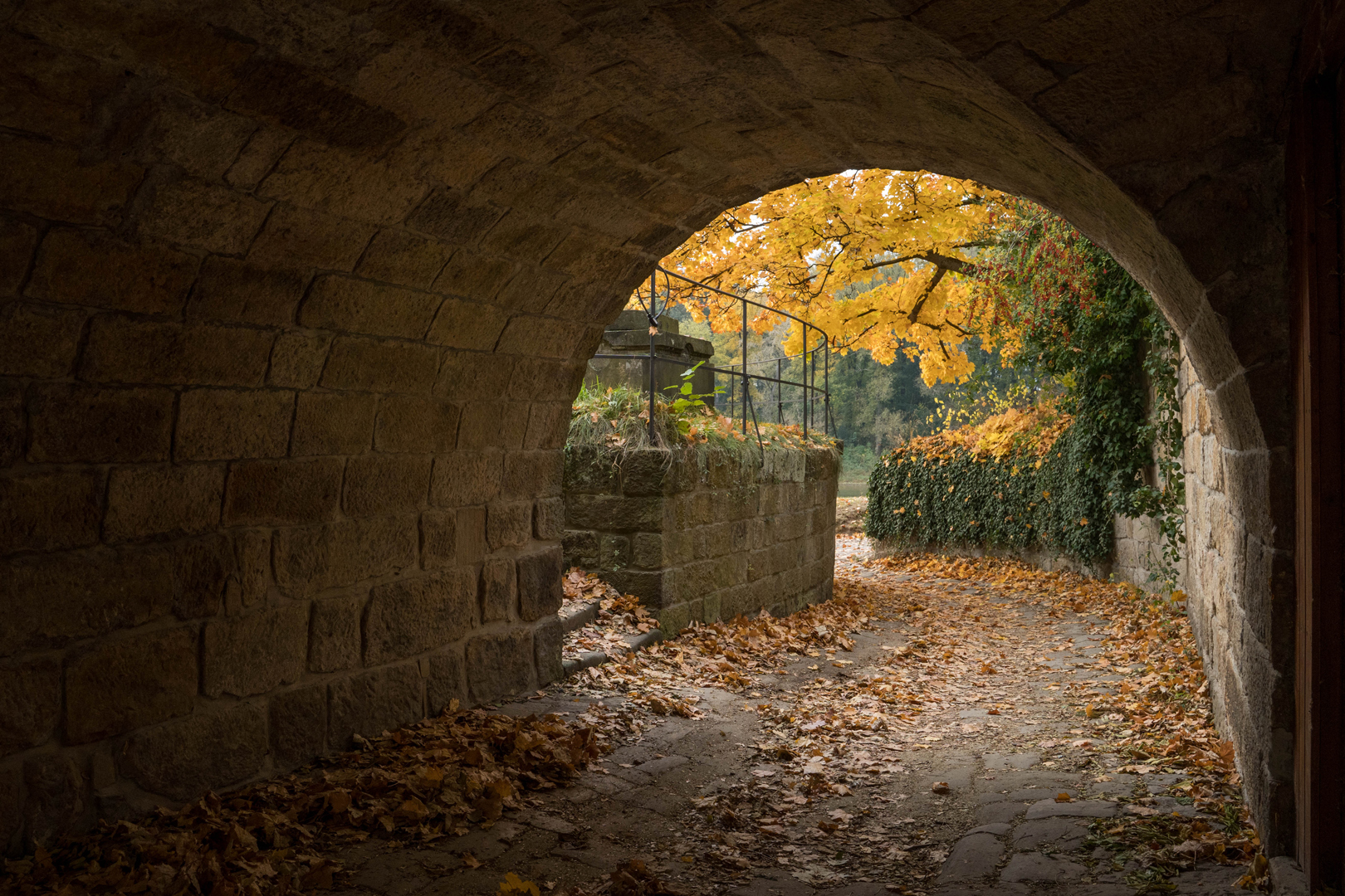 Radlertunnel