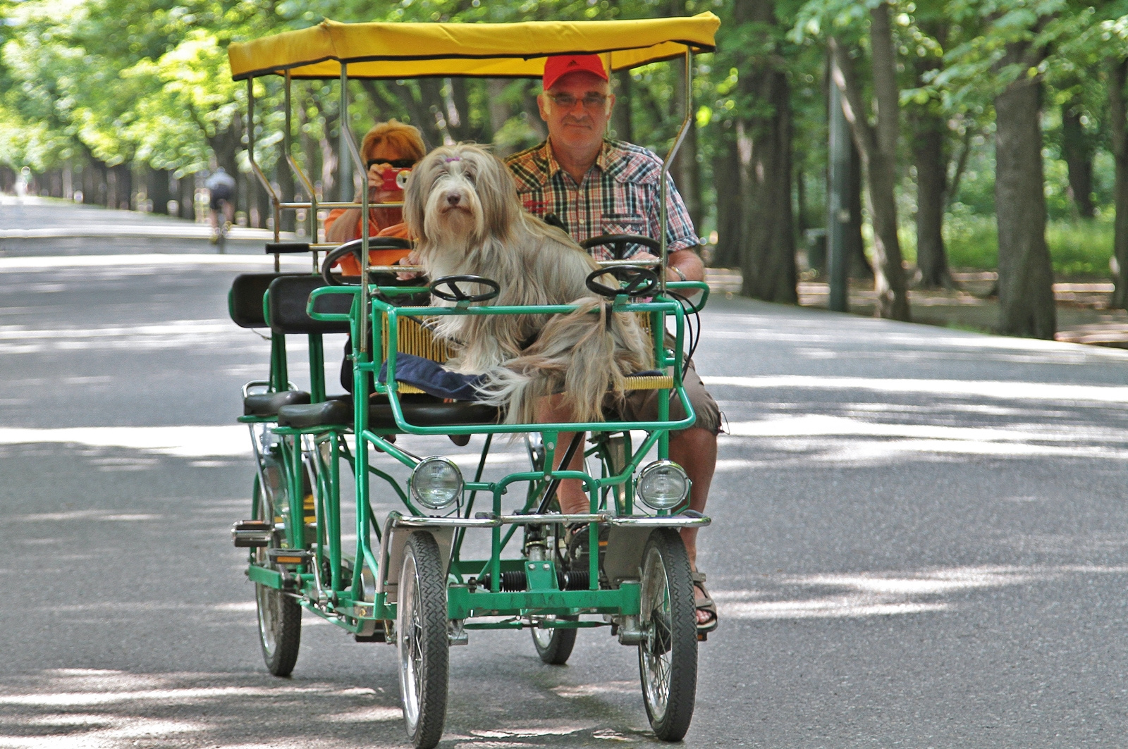 Radln mit Hund