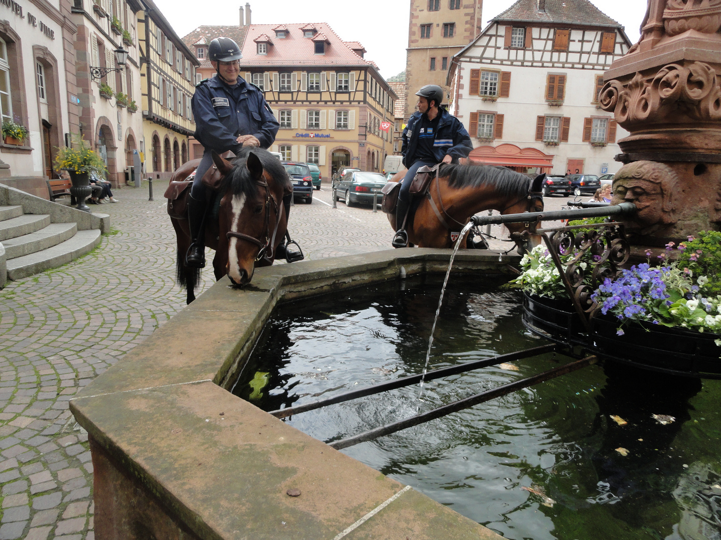 Radltour im Elsass !!! 4