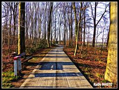  RadlWeg im Herbst