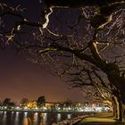 Radolfzell am Bodensee bei Nacht