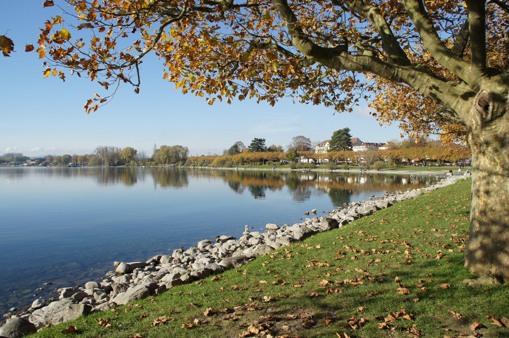 Radolfzell im Herbst