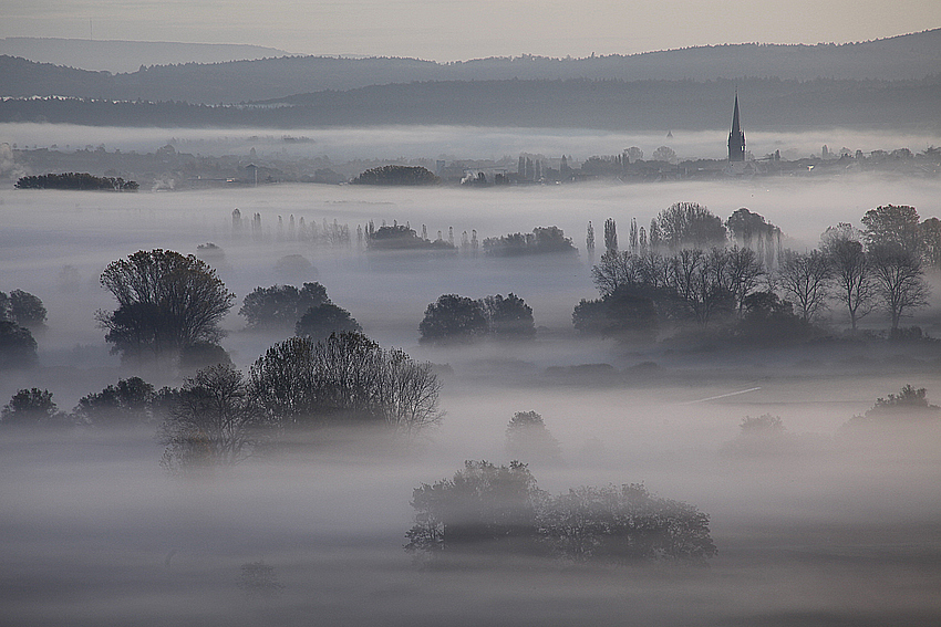 Radolfzell im Nebel