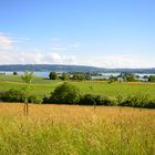 Radolfzell-Markelfingen am Bodensee