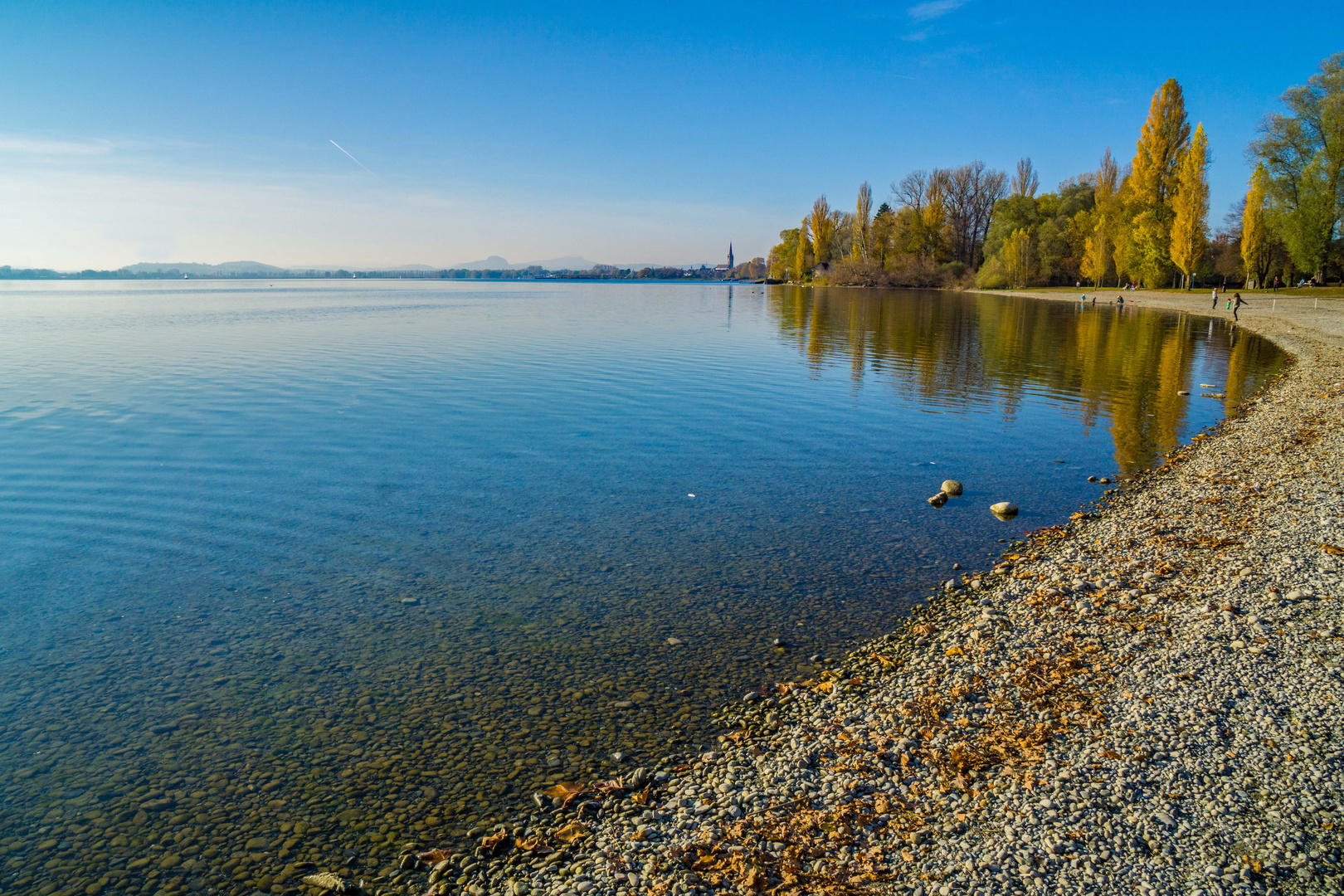 Radolfzell Mettnau im Herbst