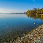 Radolfzell Mettnau im Herbst