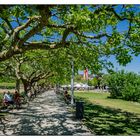 Radolfzell - Uferpromenade