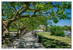 Radolfzell - Uferpromenade