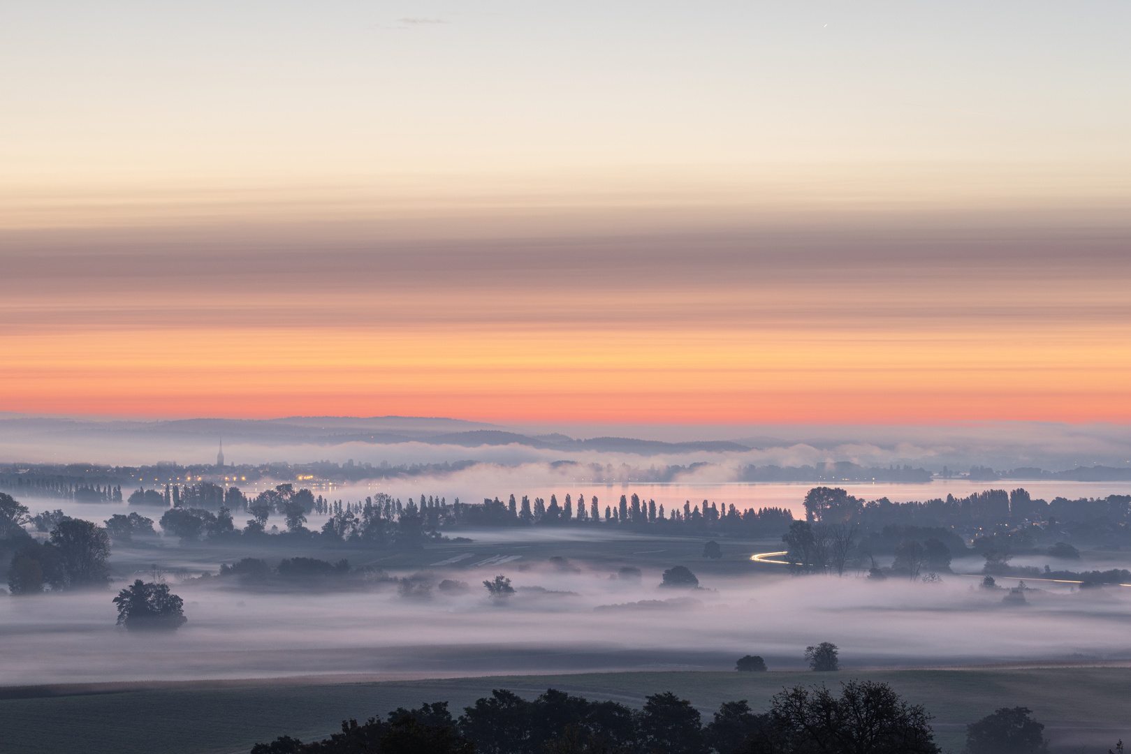 Radolfzeller Aachried im Nebel I