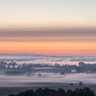 Radolfzeller Aachried im Nebel I