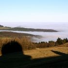 Radom-Schatten und Inversion