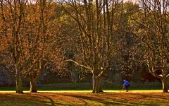 Radsport im "Goldenen Oktober"