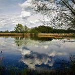 Radtour am 1.Mai in die Rieselfelder - Durchblick auf den Polder mit Wolkenspiegelungen