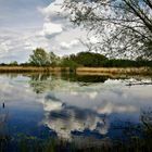 Radtour am 1.Mai in die Rieselfelder - Durchblick auf den Polder mit Wolkenspiegelungen