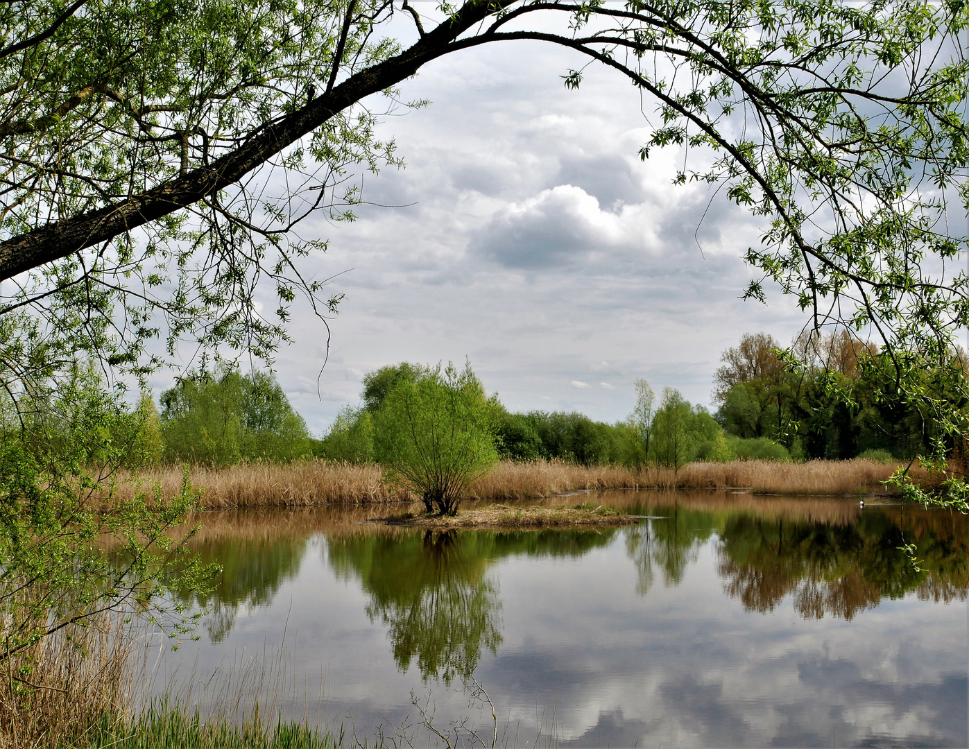 Radtour am 1.Mai in die Rieselfelder - Spiegelungen im Polder II