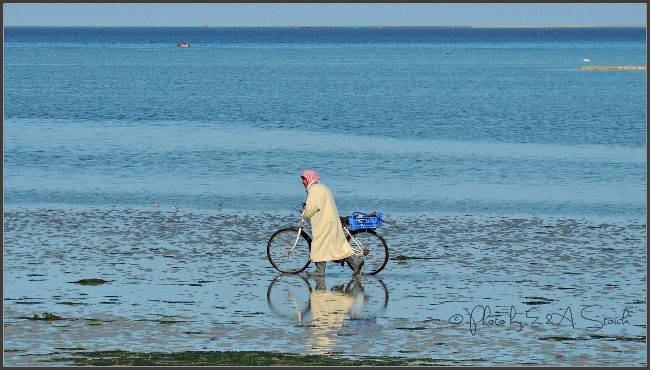 Radtour am Meer12.2013  074 (1280x729)