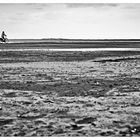 Radtour am Strand