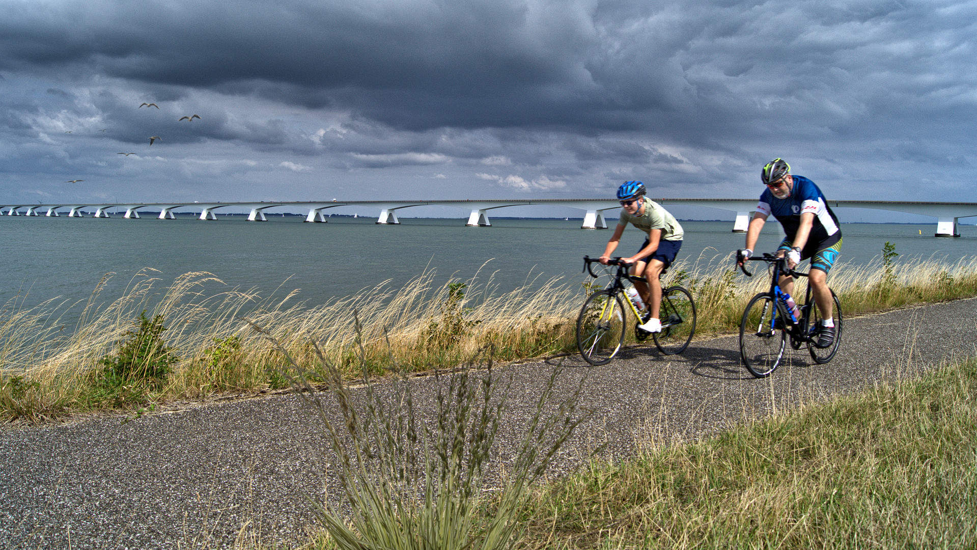 Radtour auf dem Deich