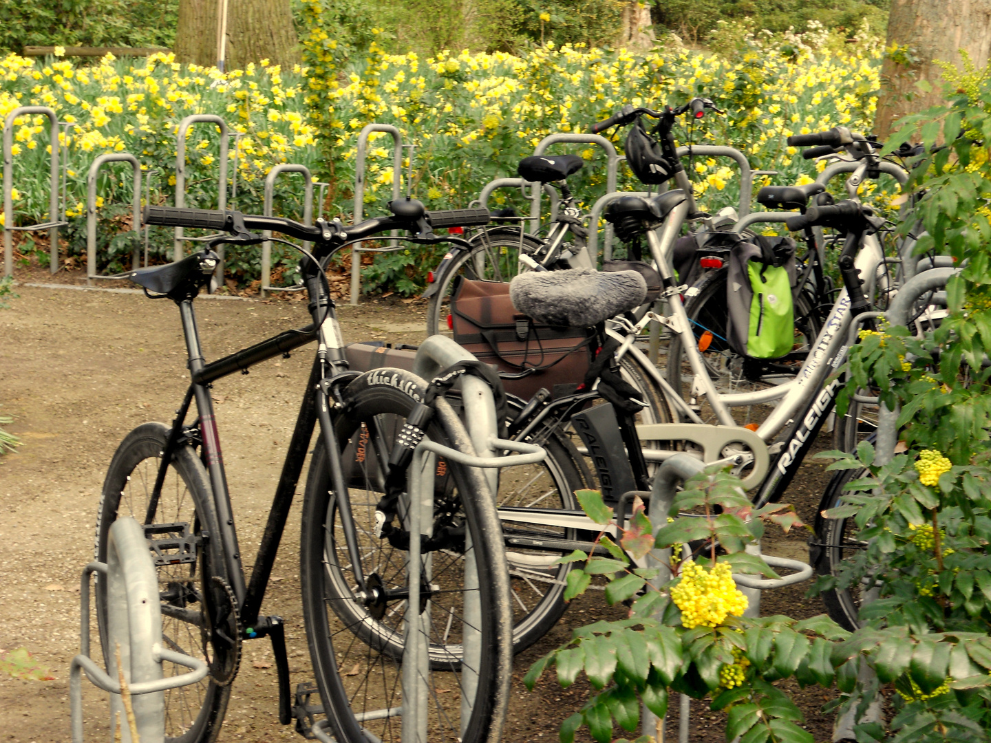 Radtour durch das Münsterland in den Frühling