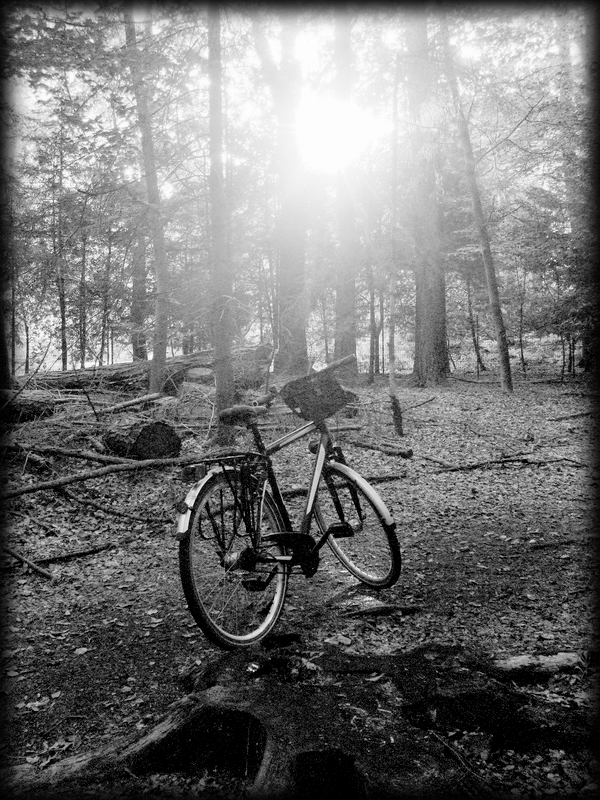 Radtour durch den Wald