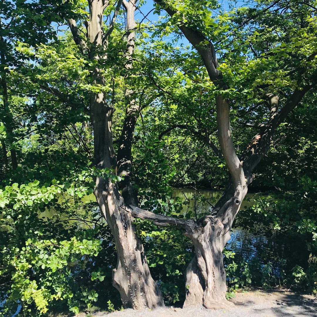 Radtour durch Nordkirchen