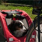 Radtour im Altmühltal