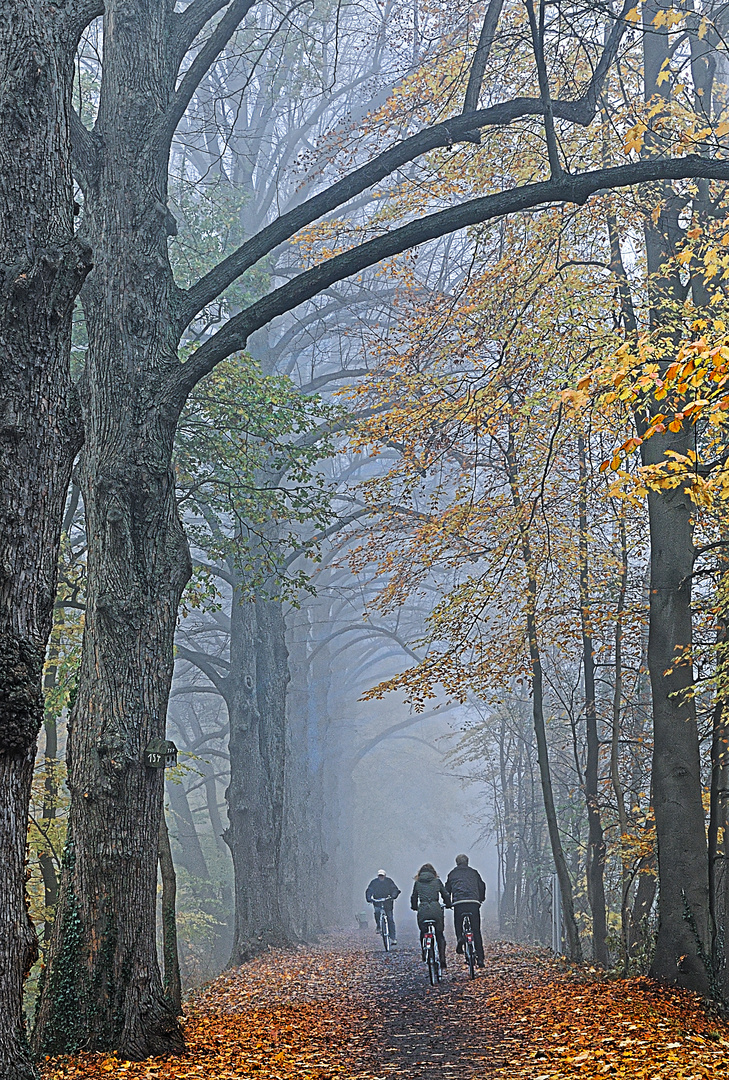 Radtour im Herbst