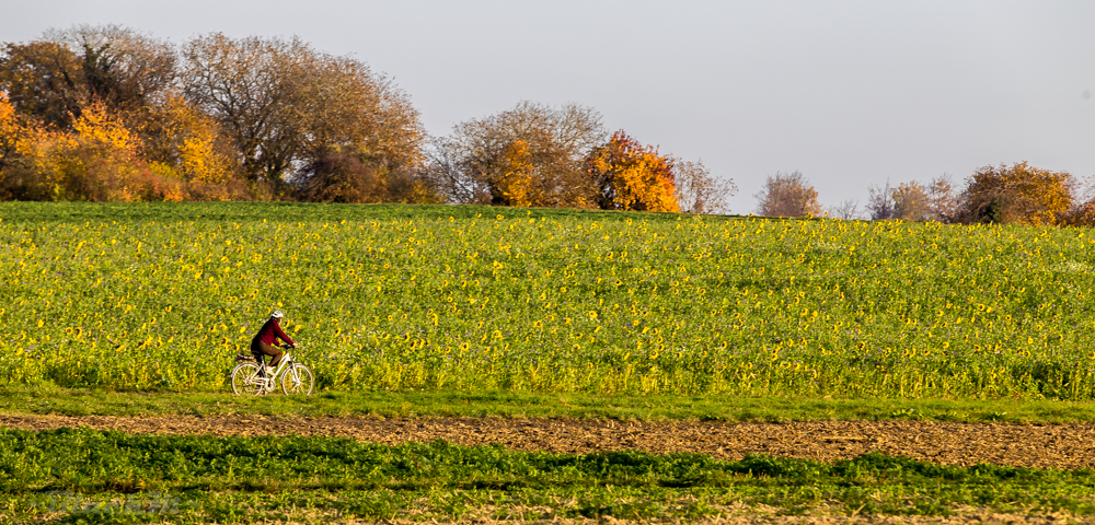 Radtour im Herbst