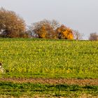 Radtour im Herbst