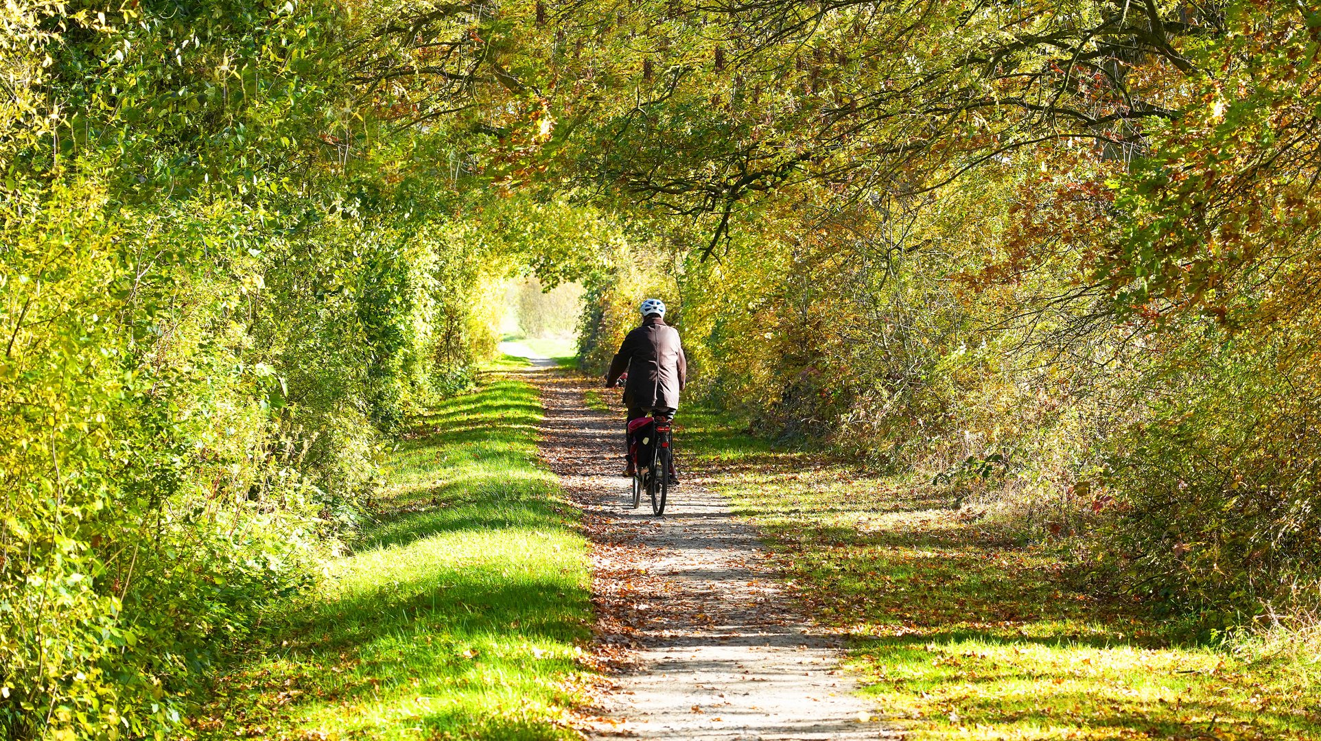 Radtour im Herbstlicht