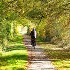 Radtour im Herbstlicht