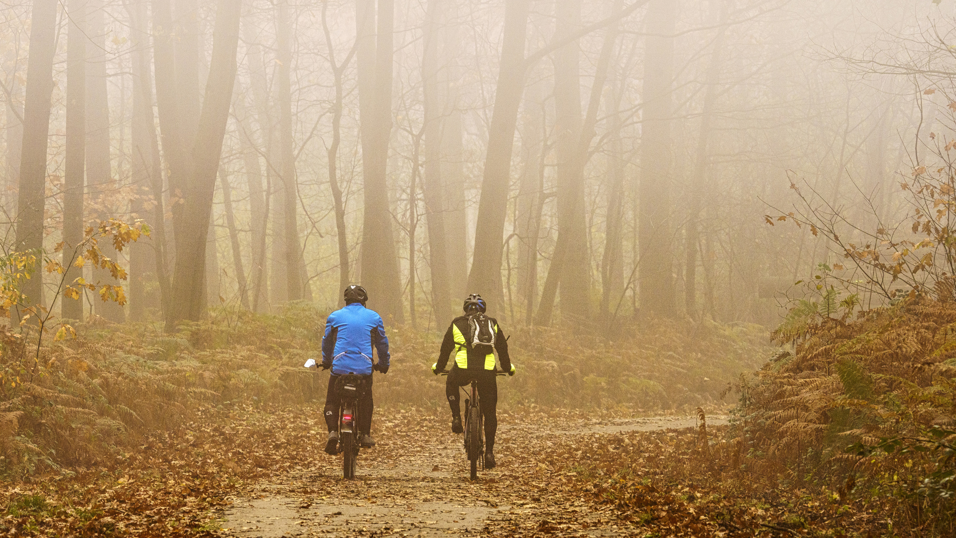 Radtour im Nebelwald, 2020.11.05