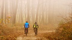 Radtour im Nebelwald, 2020.11.05