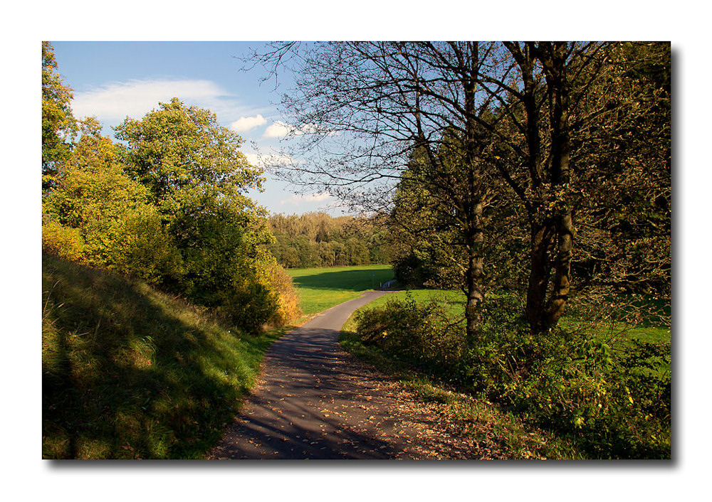 radtour in den herbst  (1)