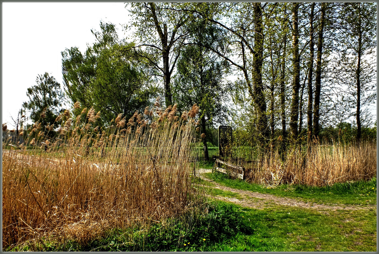 Radtour in den Lippeauen